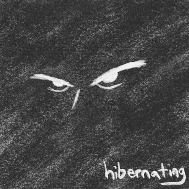 Hibernating cover artwork